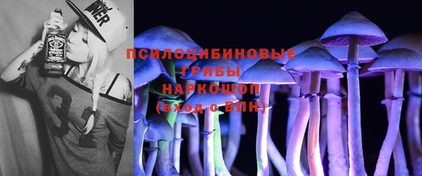 молекула духа Аркадак