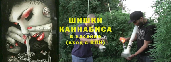 молекула духа Аркадак