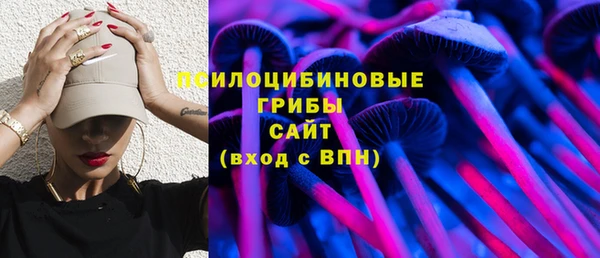 молекула духа Аркадак