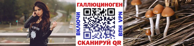 Псилоцибиновые грибы Magic Shrooms  МЕГА как зайти  Усть-Лабинск 